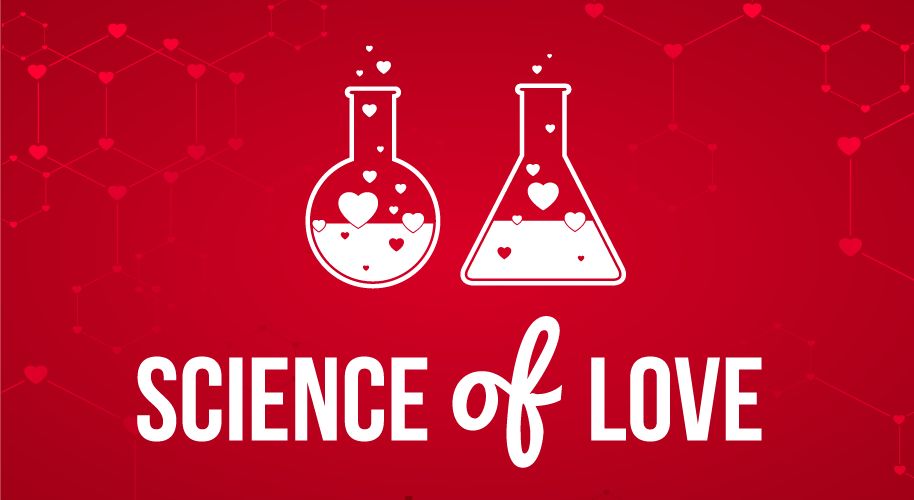 The Science Of Love The Science Of Love